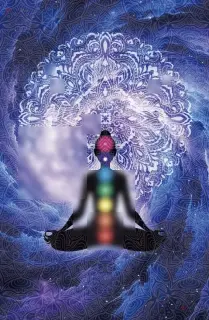 Élycia Sensory Massage