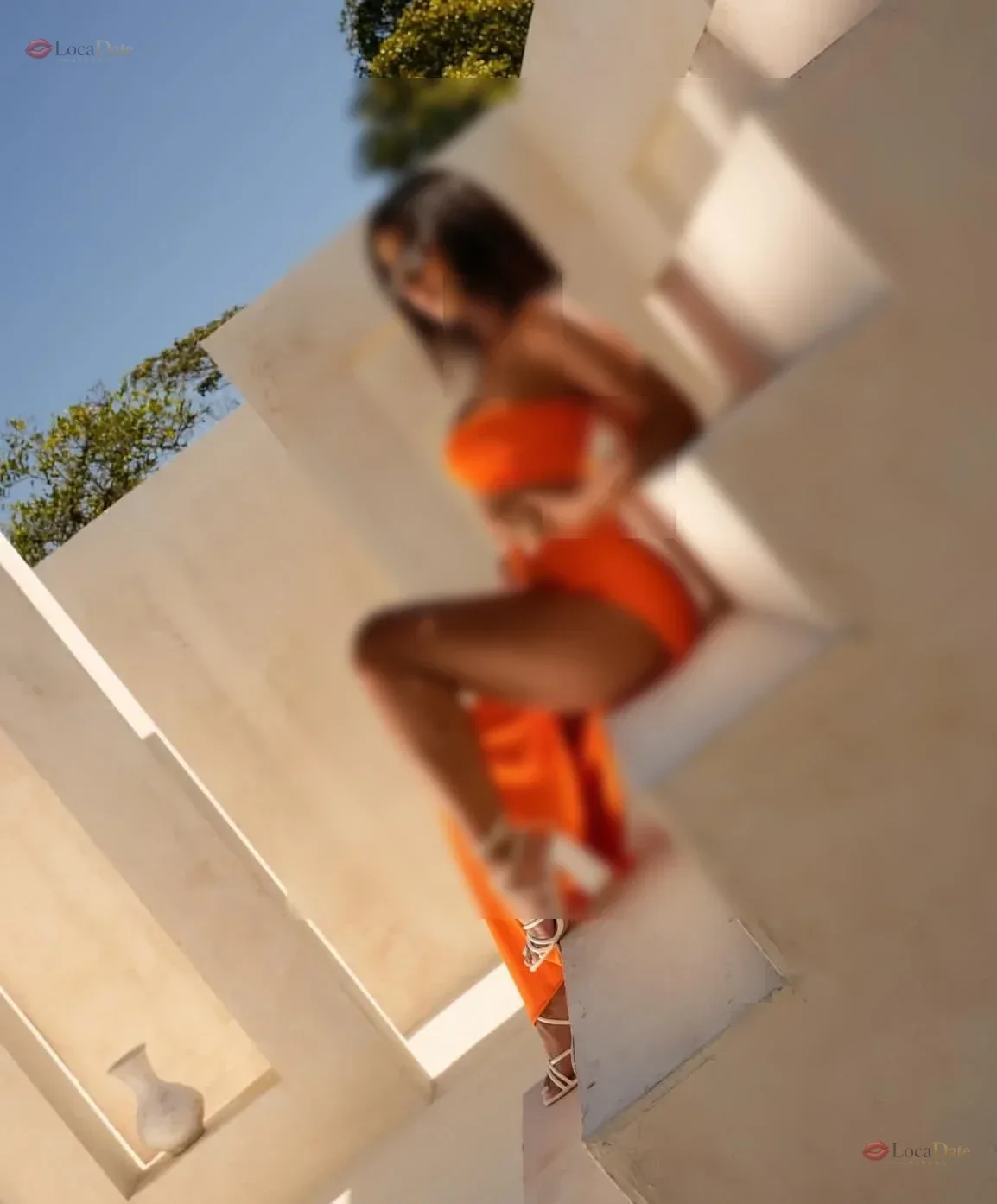 Morena Elegante DOMINANTE.